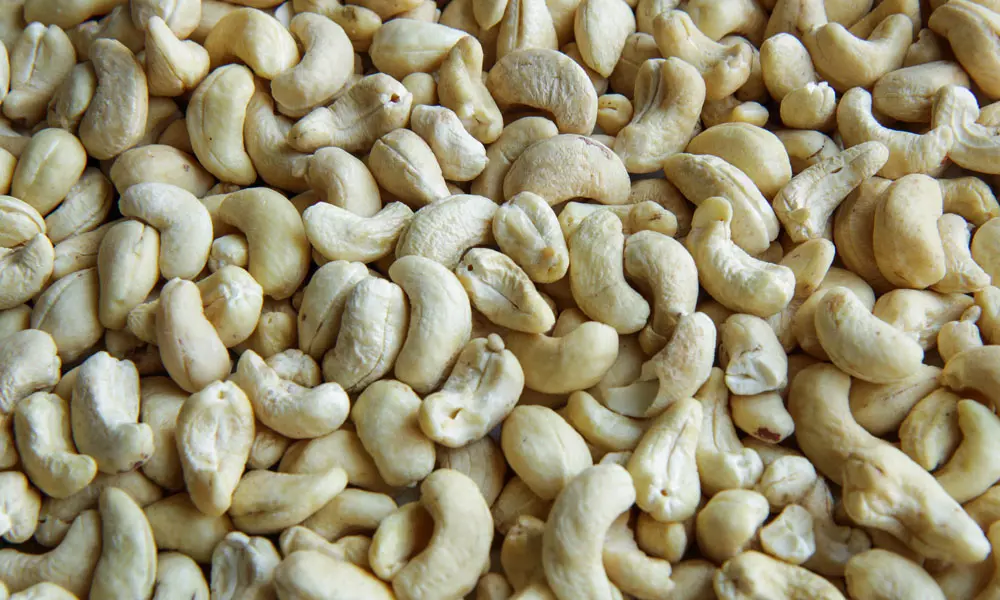 about-05 Cashew Nuts