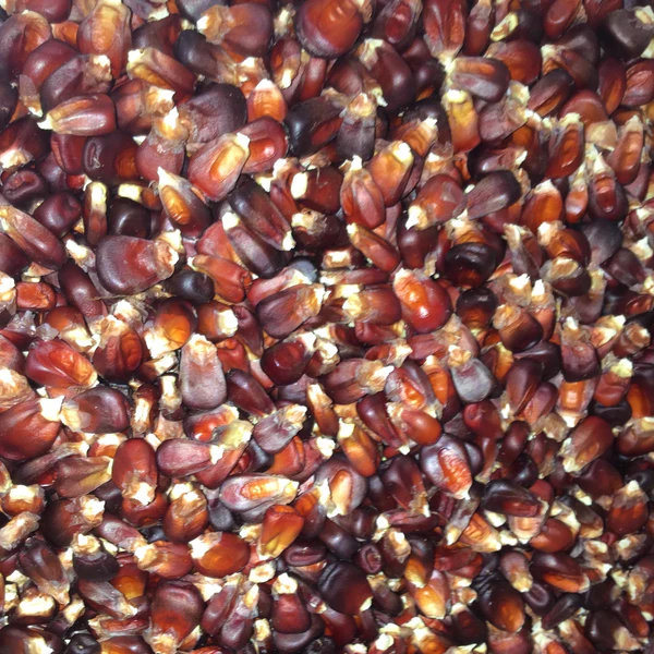 auto draft auto draft