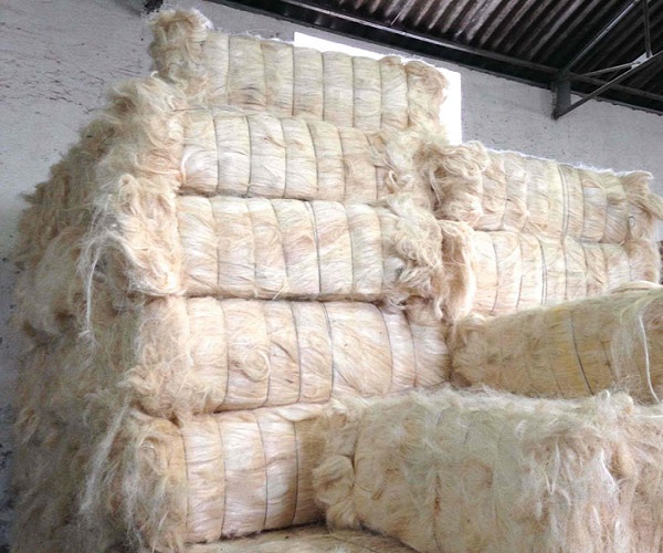 sisal fiber ssug grade sisal fiber ssug grade