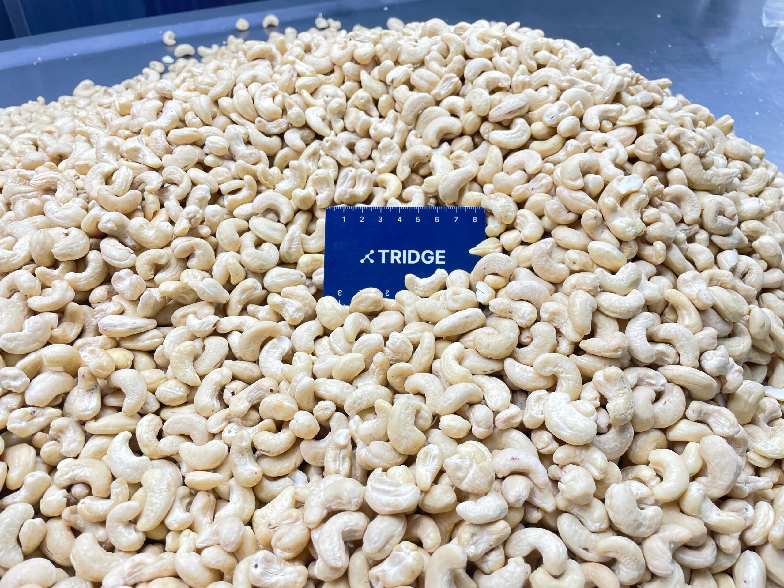 our-story-01 Vietnam Cashew Nut Kernel 612929 Scaled