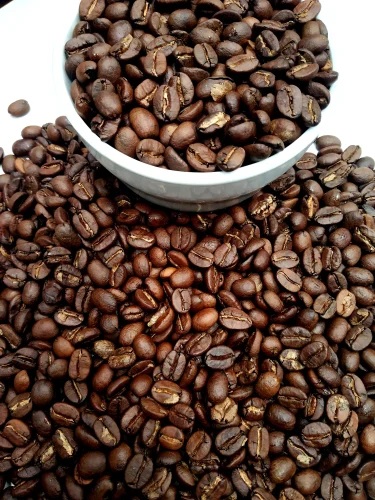 Coffee Beans 500x500 1